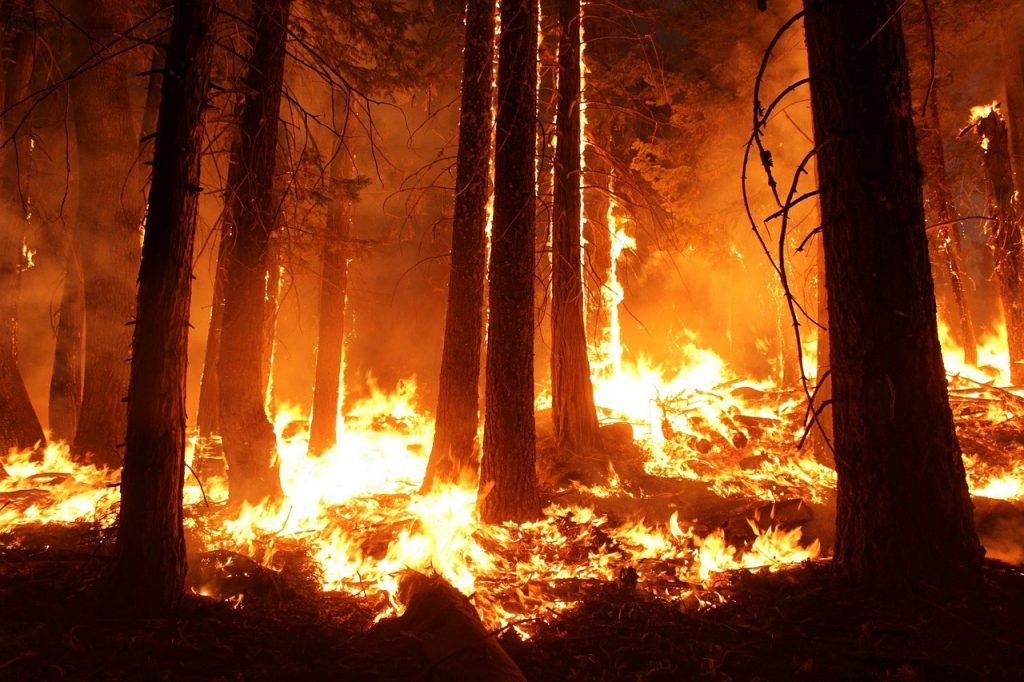 Planes de Autoprotección de Incendios Forestales