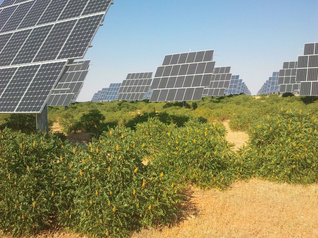Evaluación Ambiental de plantas solares fotovoltaicas (4)