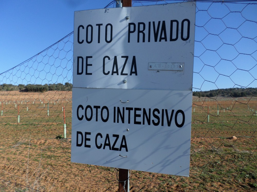 Proyecto de vallado de varias parcelas en Alcaraz y Robledo