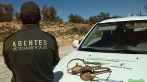 Monitorización de la fauna silvestre de Castilla-La Mancha2