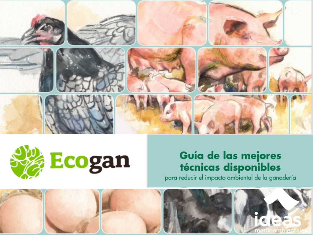 ECOGAN cover