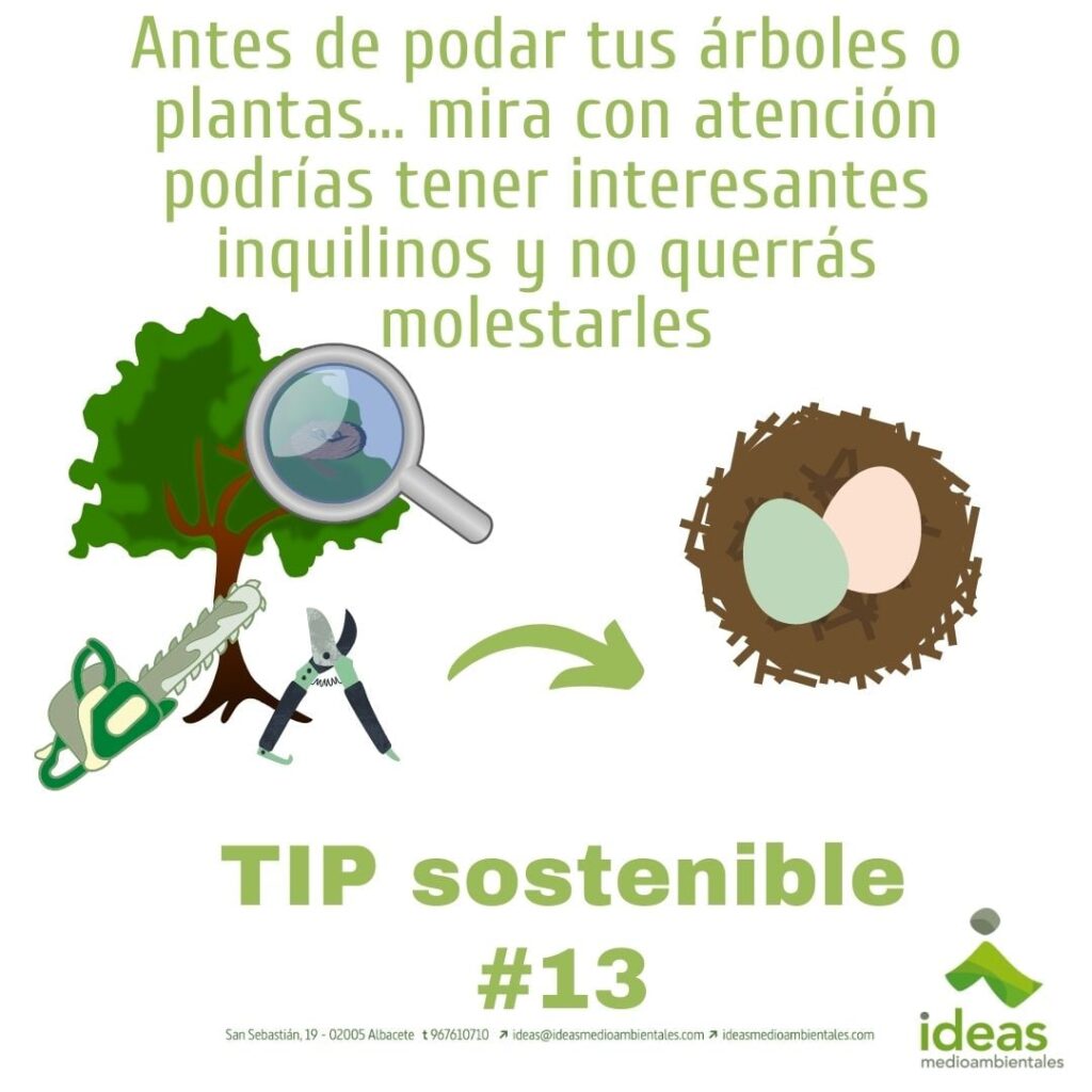 tip sostenibilidad 13