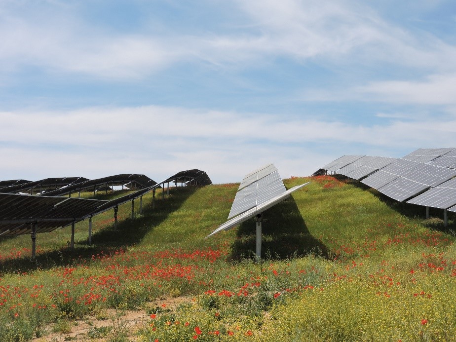 Plantas solares fotovoltaicas en las campiñas