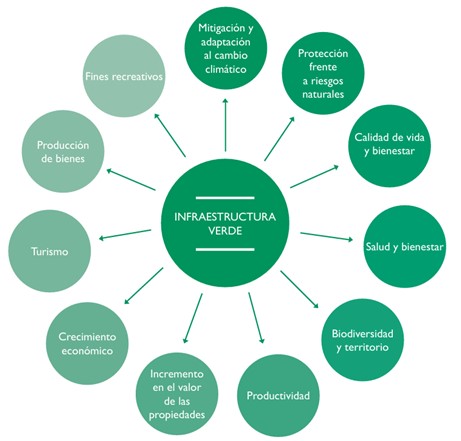 Concepción multifuncional de la IV