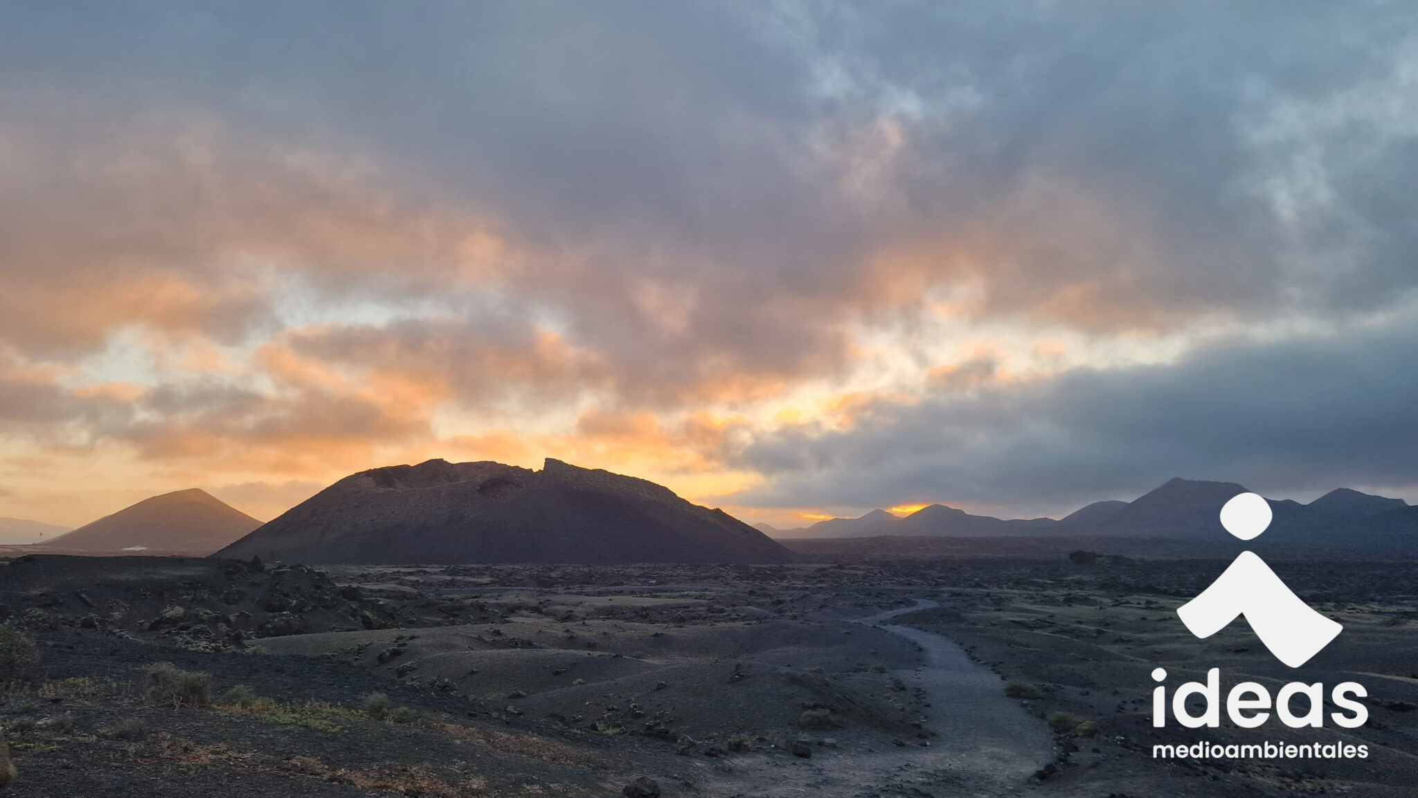 Biodiversidad Islas Canarias