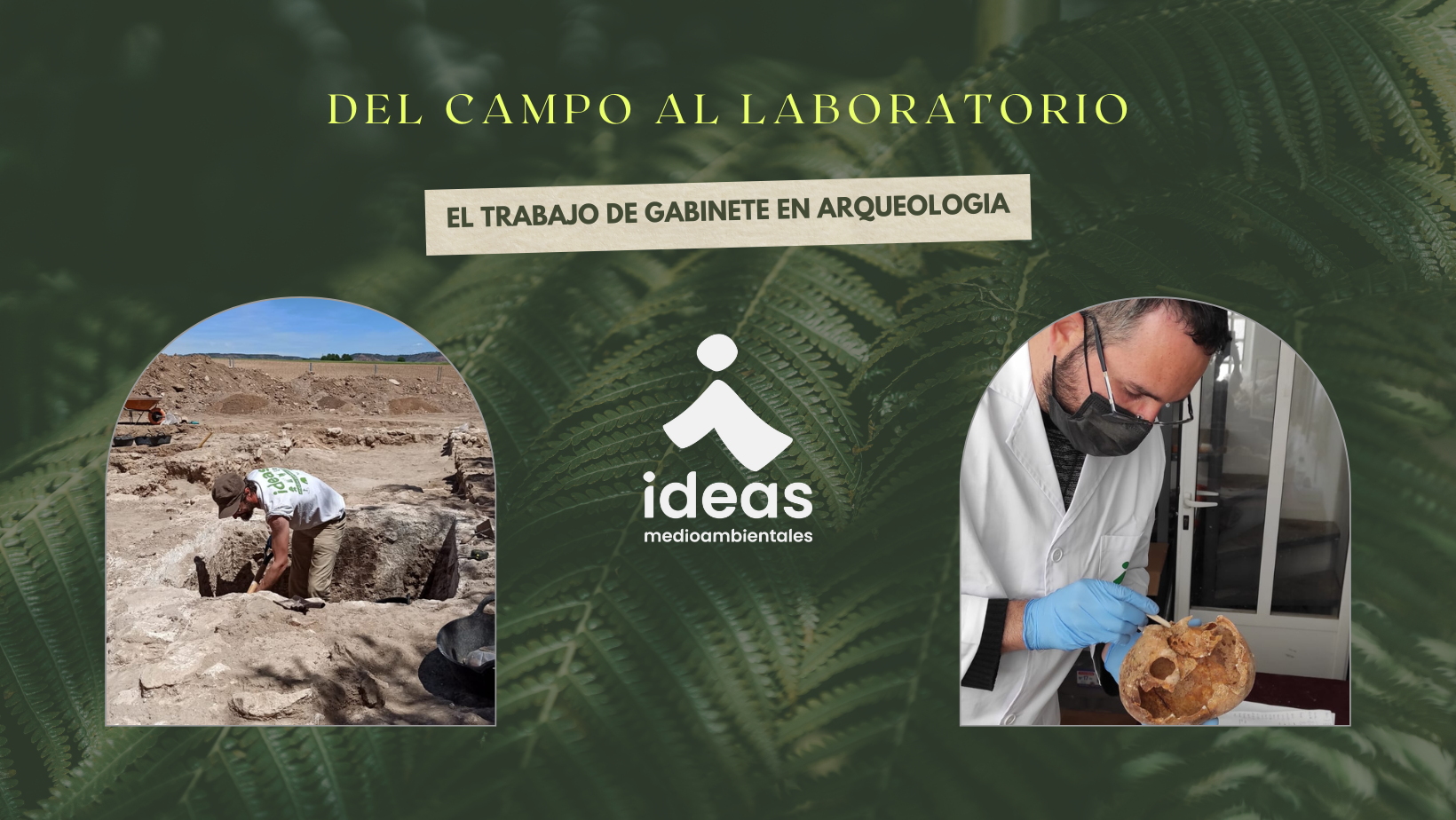 Portada Post Del Campo al laboratorio