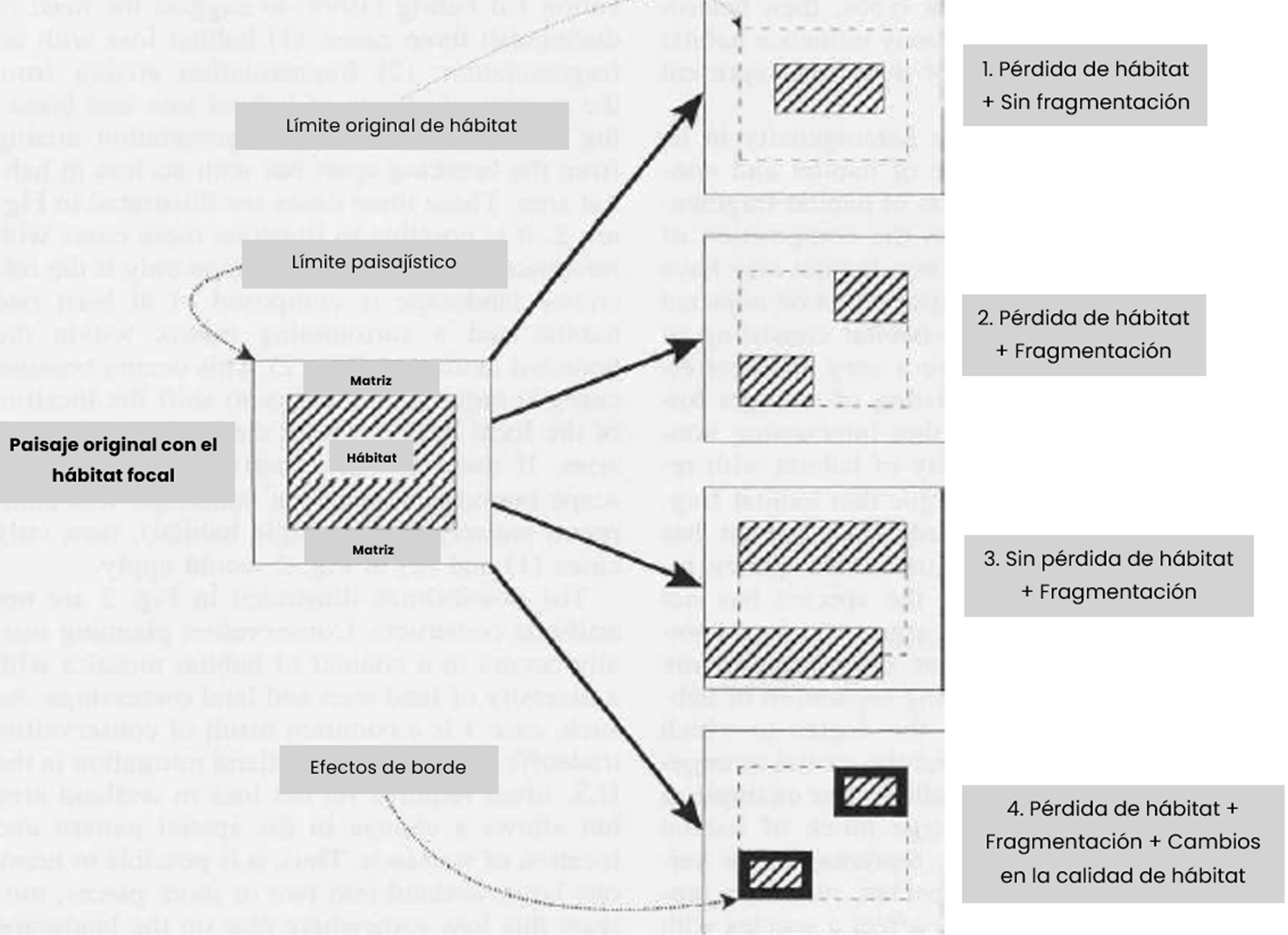 fragmentación del hábitat