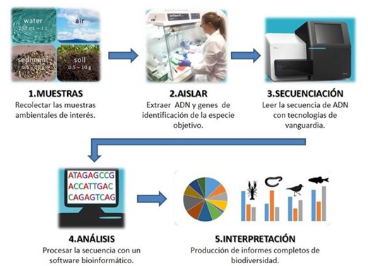 adn ambiental